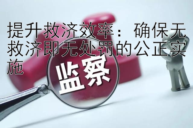 提升救济效率：确保无救济即无处罚的公正实施