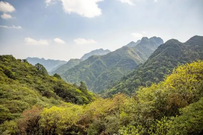 《守护哀牢山，共筑生态安全防线》