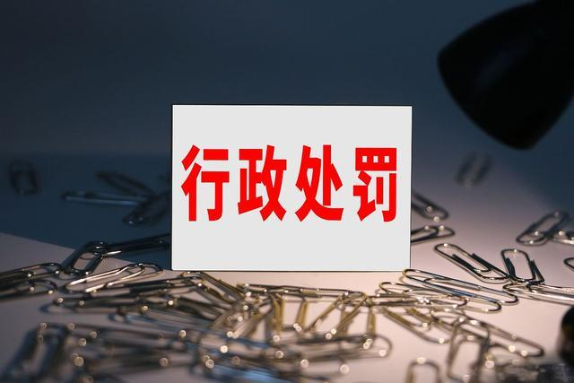 《行政处罚法中的委托处罚：内涵与意义》