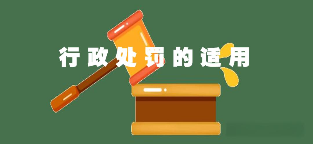 《行政处罚：协作共进，维护法治秩序》