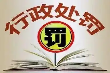 《行政处罚法原则的历史演进与当代启示》